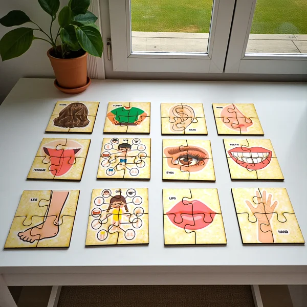 Fruits & Body Parts Jigsaw Puzzle – Educational Early Learning | Wishoz