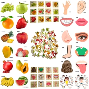fruits and body parts puzzle for kids learning