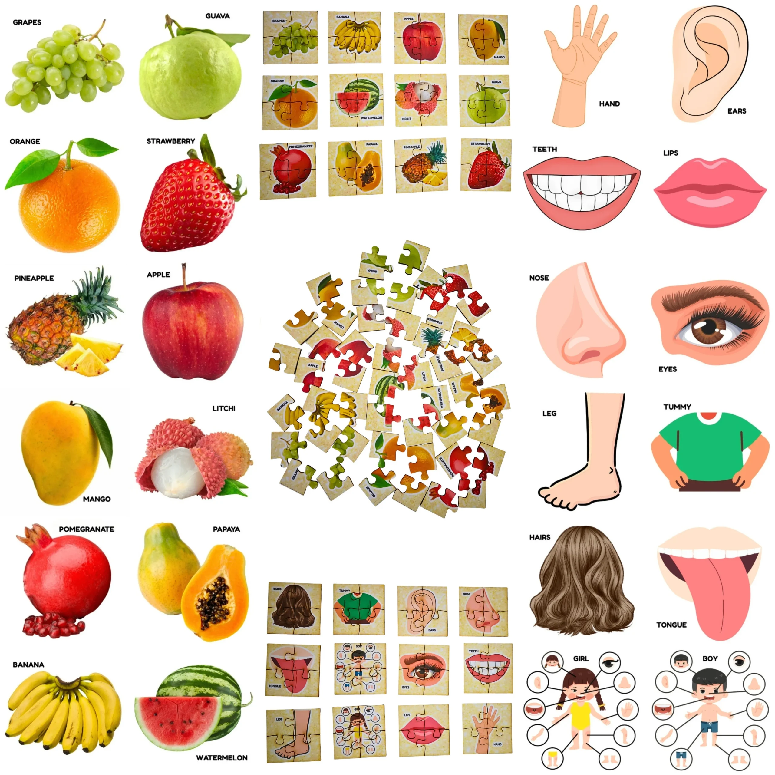 fruits and body parts puzzle for kids learning